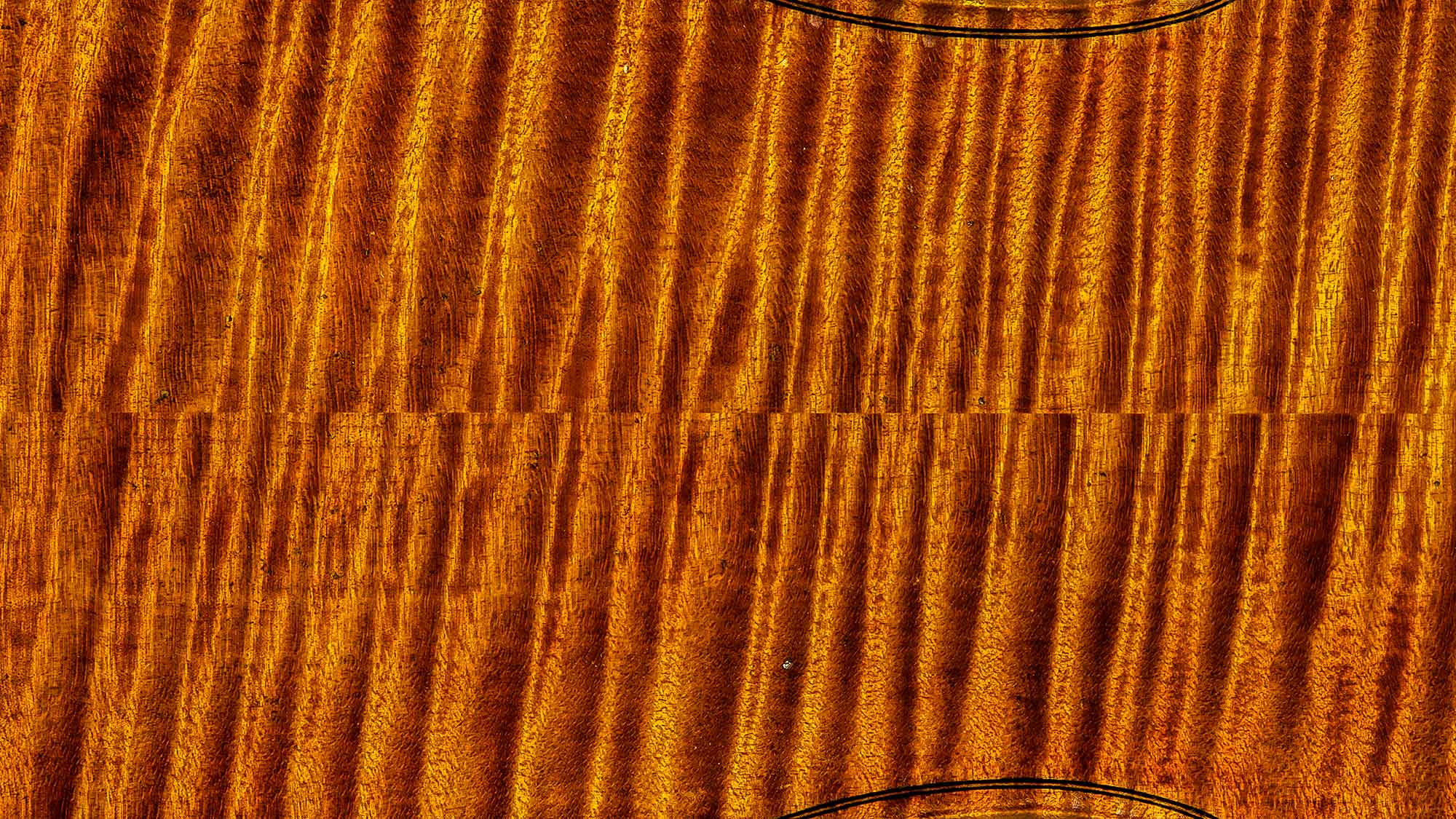 Detail of the work of David T. Van Zandt, Violin Maker