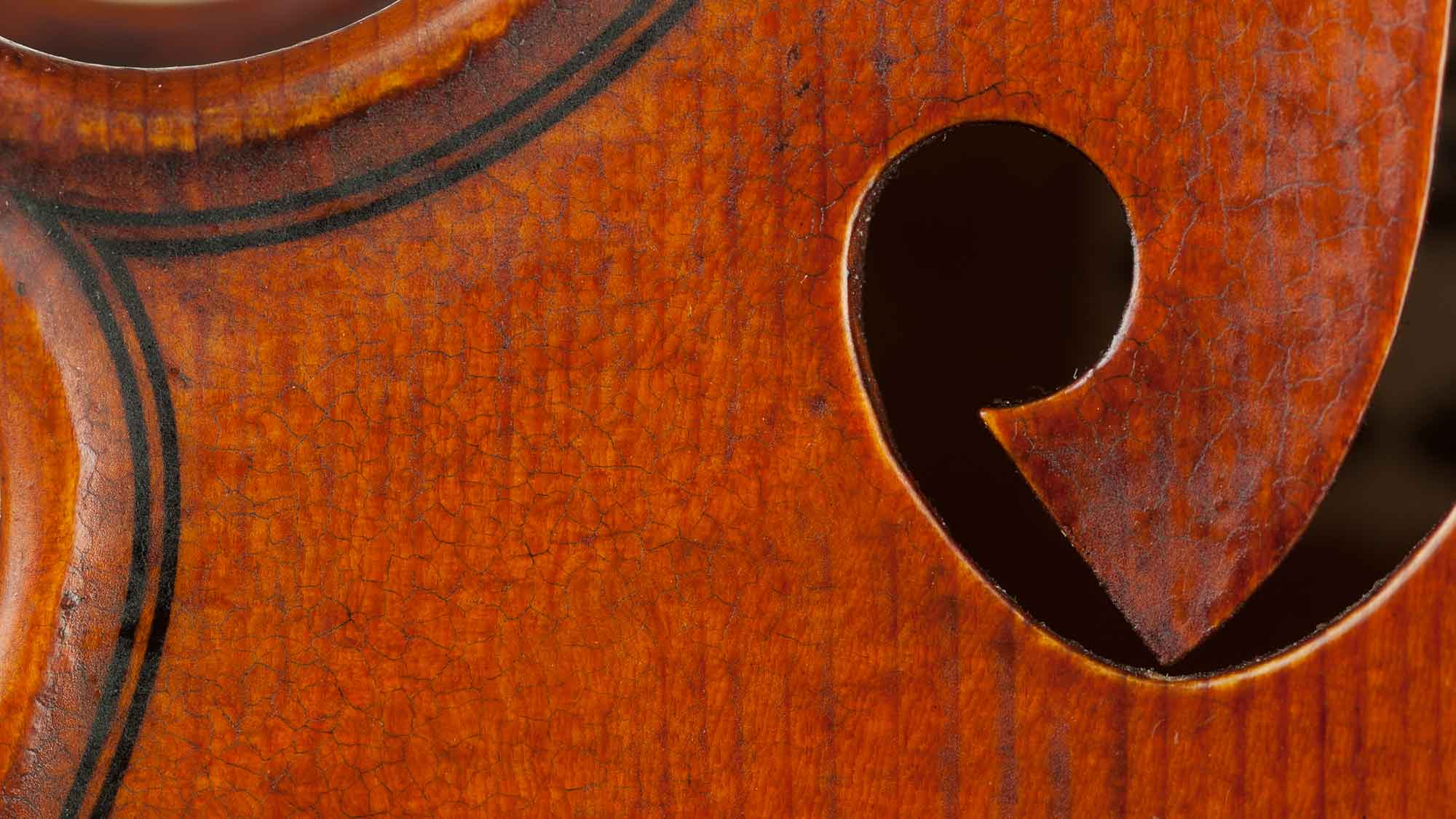 Detail of the work of David T. Van Zandt, Violin Maker